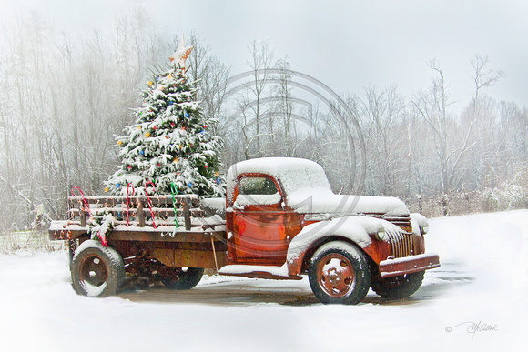 Christmas Truck - Another View