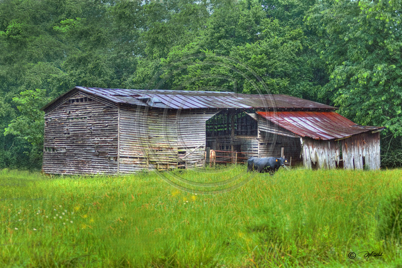 Old Barn in HDR